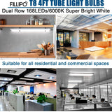 Fillipo 4FT LED T8 Type A+B Tube Lights