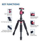 Moman DT-02 Table Tripod
