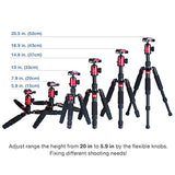 Moman DT-02 Table Tripod