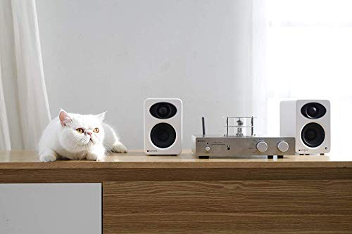 Steljes NS3 Powered Speakers